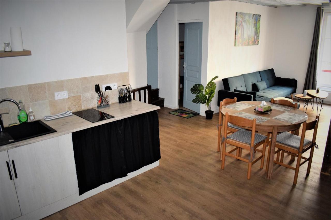 Gite Le Nid Des Zoo Zio, 5Mn Beauval, Appartement Terrasse Centre-Ville 상테뇽 외부 사진