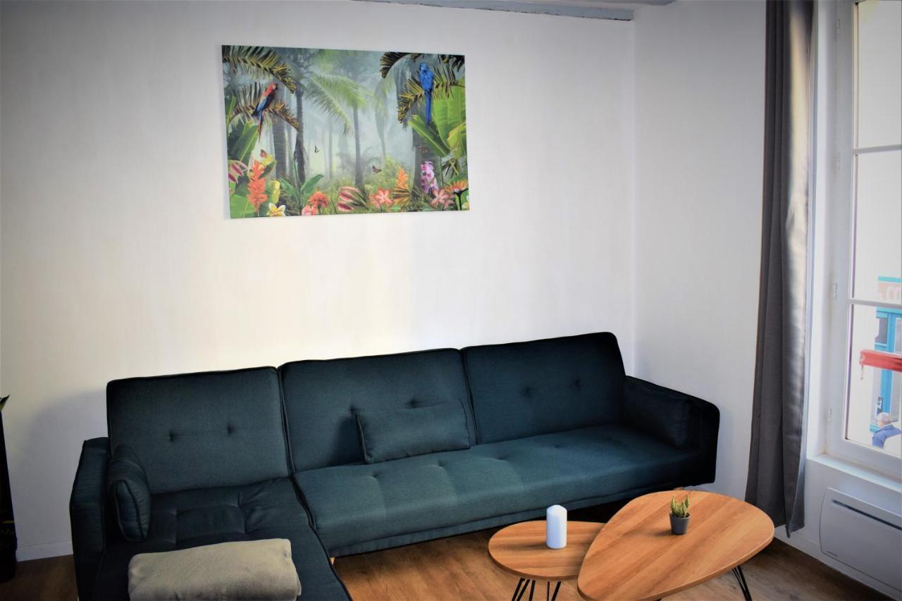 Gite Le Nid Des Zoo Zio, 5Mn Beauval, Appartement Terrasse Centre-Ville 상테뇽 외부 사진