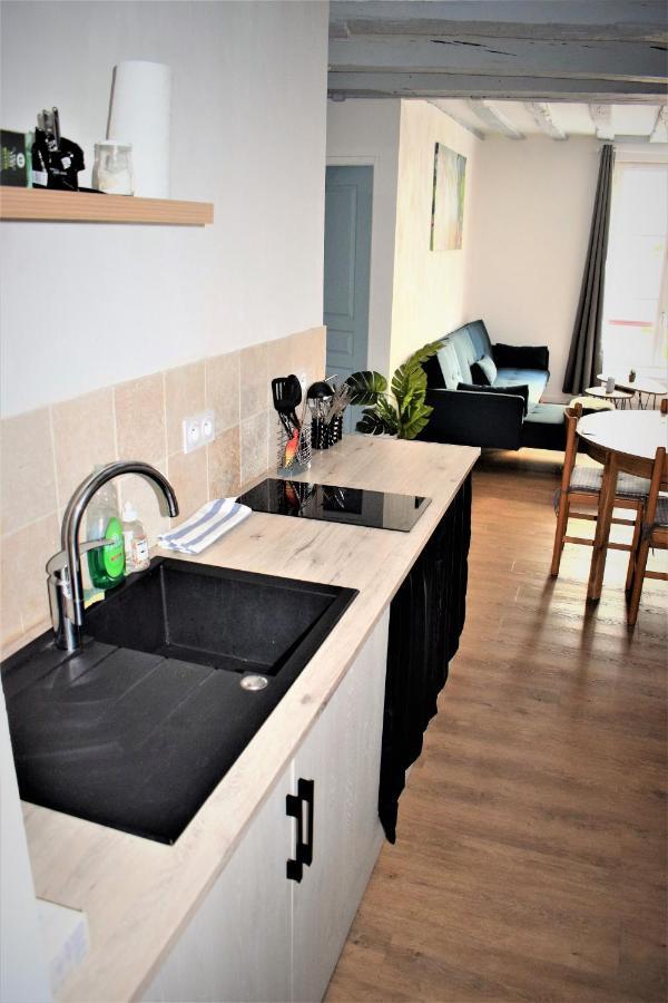 Gite Le Nid Des Zoo Zio, 5Mn Beauval, Appartement Terrasse Centre-Ville 상테뇽 외부 사진