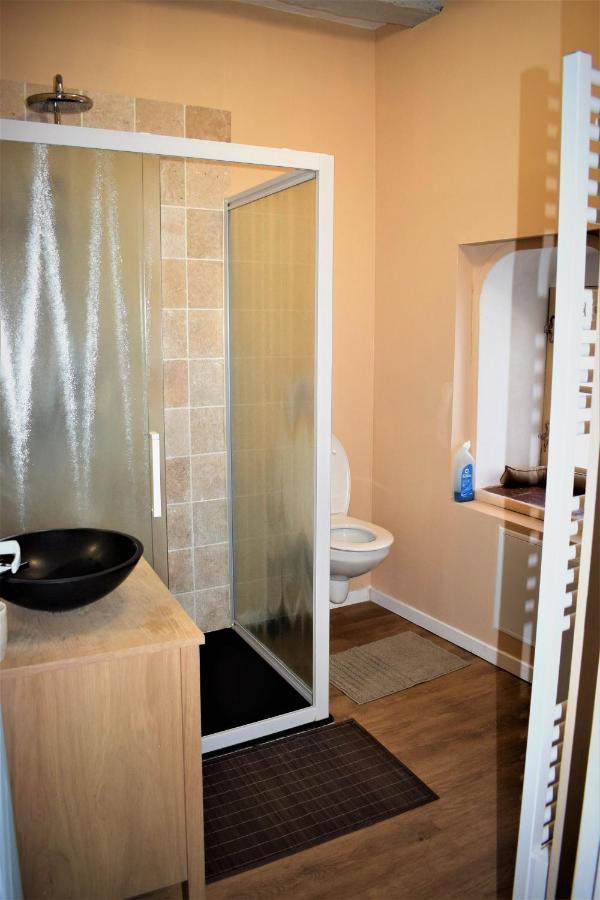 Gite Le Nid Des Zoo Zio, 5Mn Beauval, Appartement Terrasse Centre-Ville 상테뇽 외부 사진